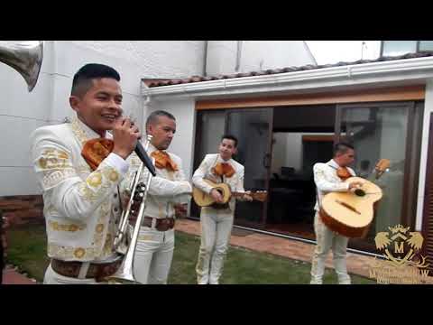 Video demostrativo de Mariachi Juvenil Fernández