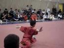 Quebec Wushu 2007