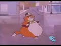 Cat Water Bloat