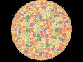 Color Blindness test