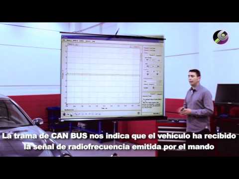 Ver vídeo