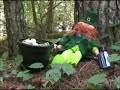 LEPRECHAUNS ARE REAL!
