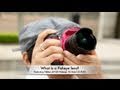 What is a Fisheye lens? (feat. Nikkor AF DX Fisheye 10.5mm f/2.8 ED