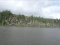 quinault river joins ocean