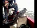 DE PESCA EL DEPORTE CHARRUA 19a. entrega DE PESCA EL DEPORTE CHARRUA 19a. entrega
