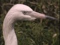Laguna Madre, Texas and Mexico - The Nature Conservancy