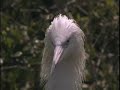 Laguna Madre, Texas and Mexico - The Nature Conservancy