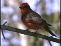 Laguna Madre, Texas and Mexico - The Nature Conservancy