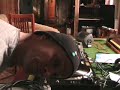 BEAT MATCHING TUTORIAL, GETTING IT OFF BEAT ON PURRR-POSE!