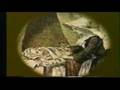 Mary s Miraculous Medal Part 1