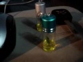 (uploaded by andreufg)&nbsp;GrowableBamboo Plant In-a-Bottle Keychain - DealEx