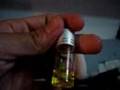 (uploaded by andreufg)&nbsp;GrowableBamboo Plant In-a-Bottle Keychain - DealEx