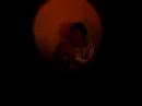 00wallo.html