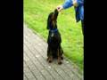 Kenny`s first year