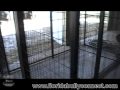 CLEAN YOUR KENNELS!! YOU MUST KEEP CLEAN - H1N1 IN PART1