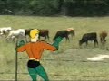 Aquaman Dance Party - Dairy Farm