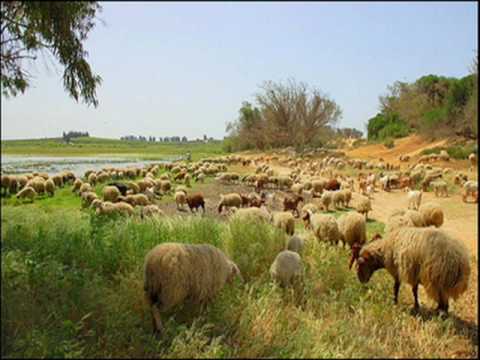 Amkhsa ntamara Rif Daqssisth qasida fokaha alhoceima nador bni bouayach 2010 maroc قصيدة