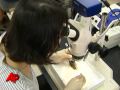 Tooth Could Signal New Era in Organ Regeneration