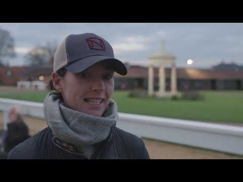 Tattersalls Craven Breeze Up Sale Day 1 Video Review