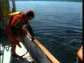 Inflatable Life Rafts