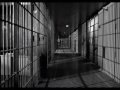 videos de DISCRIMINACION II