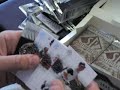 2008 Sp Authentic Case Group Break. 2008 Sp Authentic Case Group Break.
