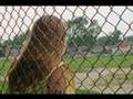 Cutting Story - From In My Room Documentary
