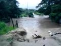 rio rio