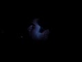 Ac�stico Marley - Rastaman Chant