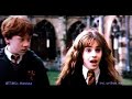 Surrender-Hermione/Draco