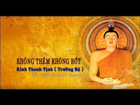 Kinh NIKAYA Giảng Giải - Không Thêm Không Bớt - Kinh Thanh Tịnh ( Trường Bộ)