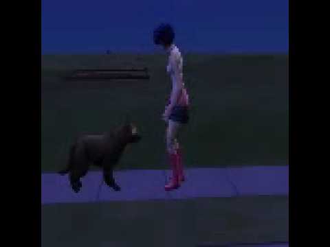 how to control npc sims 2