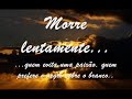 Morre Lentamente... Morre Lentamente...