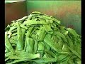 Aloe Vera - processo produzione Forever Living Products