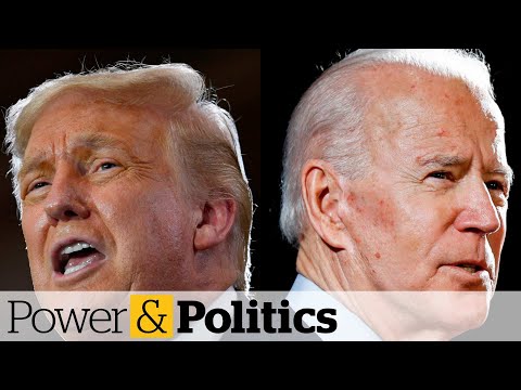 Trump will lose, says professor who has accurately predicted elections since 1984