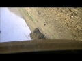 IED FLIPS MRAP IN AFGHANISTAN - FAILED ATTACK