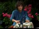 ustad zakir hussain mini piece jhaptal