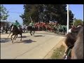 Cruel Oxen Race: Chieuti, Italy