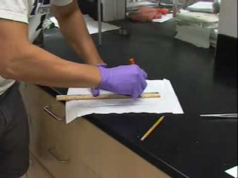 how to perform tlc in lab