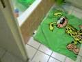 evann 4 pattes