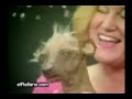 Humor - Doblaje del perro viejo.