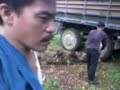 Palm oil