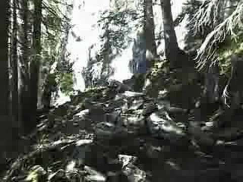 Downhill in central switzerland