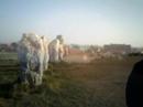 lantre-de-mes-rves.html