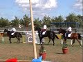 musical ride