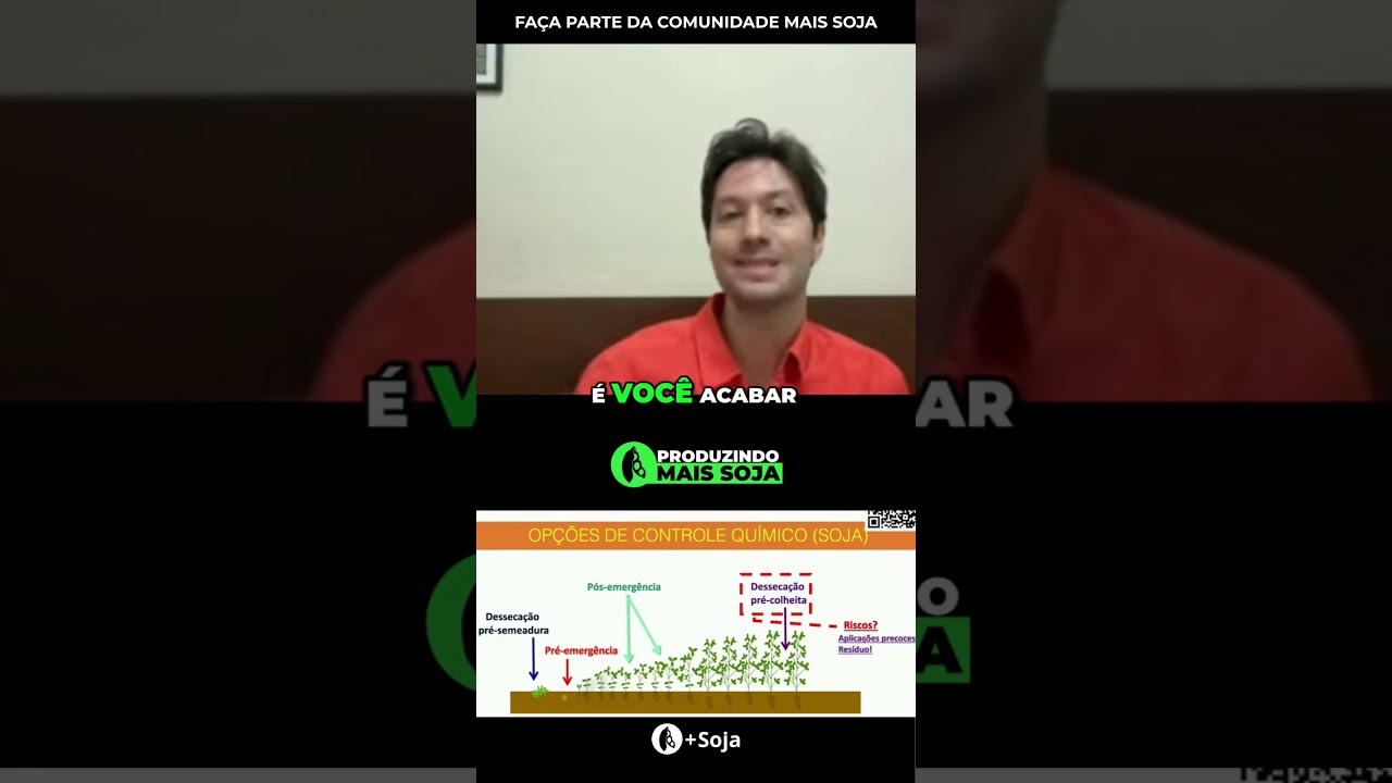 Dessecação pré-colheita em soja: Riscos e Benefícios  #agro #agricultura