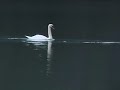 Mahler Moments 1 Mahler Moments 1