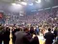 Partizan - Panatinaikos Navijanje