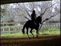 Enjoying Dressage Douglas Puterbaugh