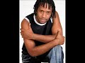 HERANÇA NEGRA - 